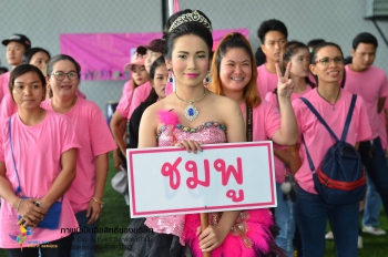 19620383_865339973607418_7603998969279117437_o